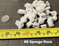 Extra Large Sponge Rock (#8)