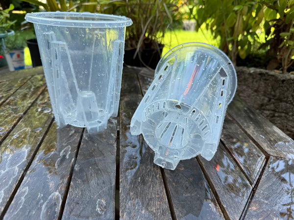 5.5inch Tall Vented Clear Pot