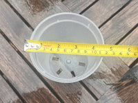 4.5 inch Plastic Pot No Slits