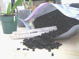 Charcoal - FINE - Ravenvision Orchid Supplies