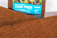 Tree Fern Panel: Medium - twin pack