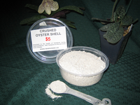 Crushed Oyster Shell - Ravenvision Orchid Supplies